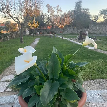 Entre Encinas 펜션 *