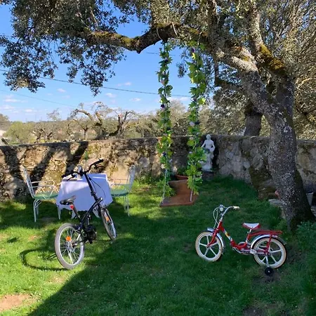 Entre Encinas * Moralina