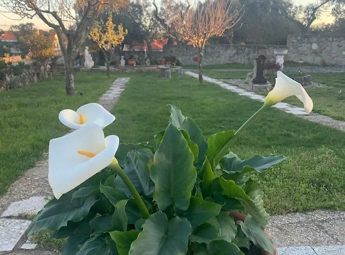 Entre Encinas 別荘 *